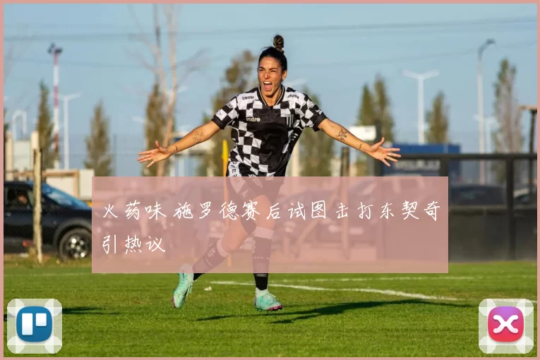 火药味 施罗德赛后试图击打东契奇引热议