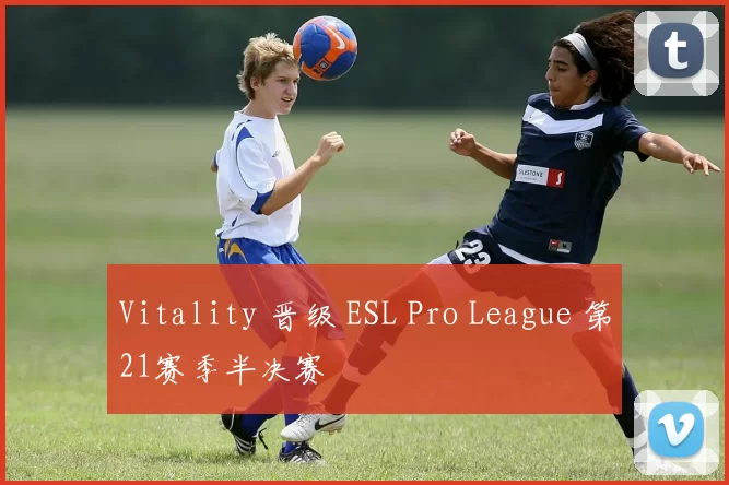 Vitality 晋级 ESL Pro League 第21赛季半决赛