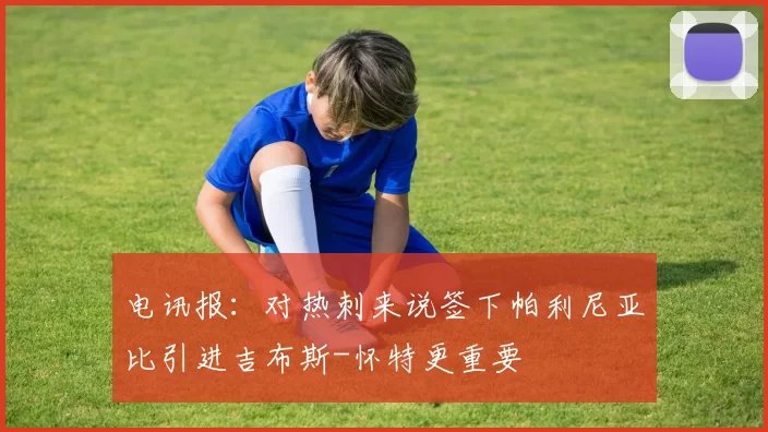 电讯报：对热刺来说签下帕利尼亚比引进吉布斯-怀特更重要