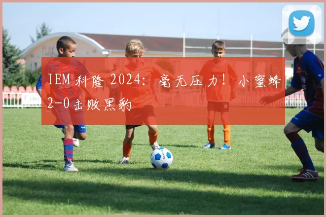 IEM 科隆 2024：毫无压力！小蜜蜂2-0击败黑豹