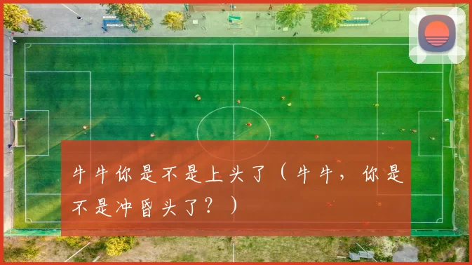牛牛你是不是上头了（牛牛，你是不是冲昏头了？）