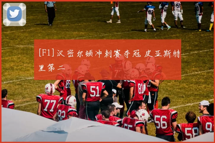 [F1]汉密尔顿冲刺赛夺冠 皮亚斯特里第二