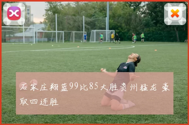 石家庄翔蓝99比85大胜贵州猛龙 豪取四连胜
