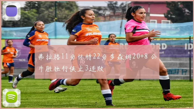 弗拉格11分怀特22分多森姆20+8 公牛胜独行侠止3连败
