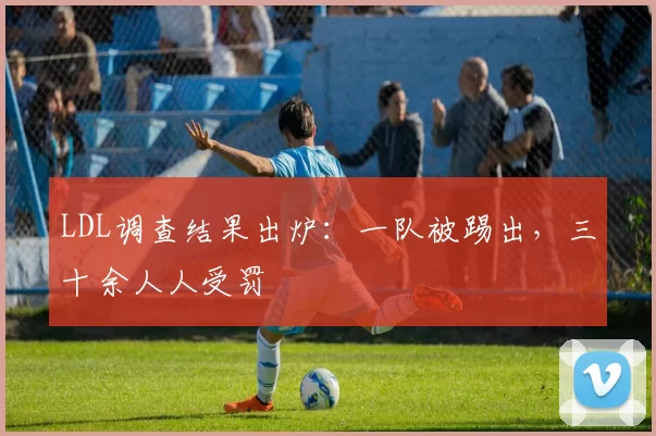 LDL调查结果出炉：一队被踢出，三十余人人受罚